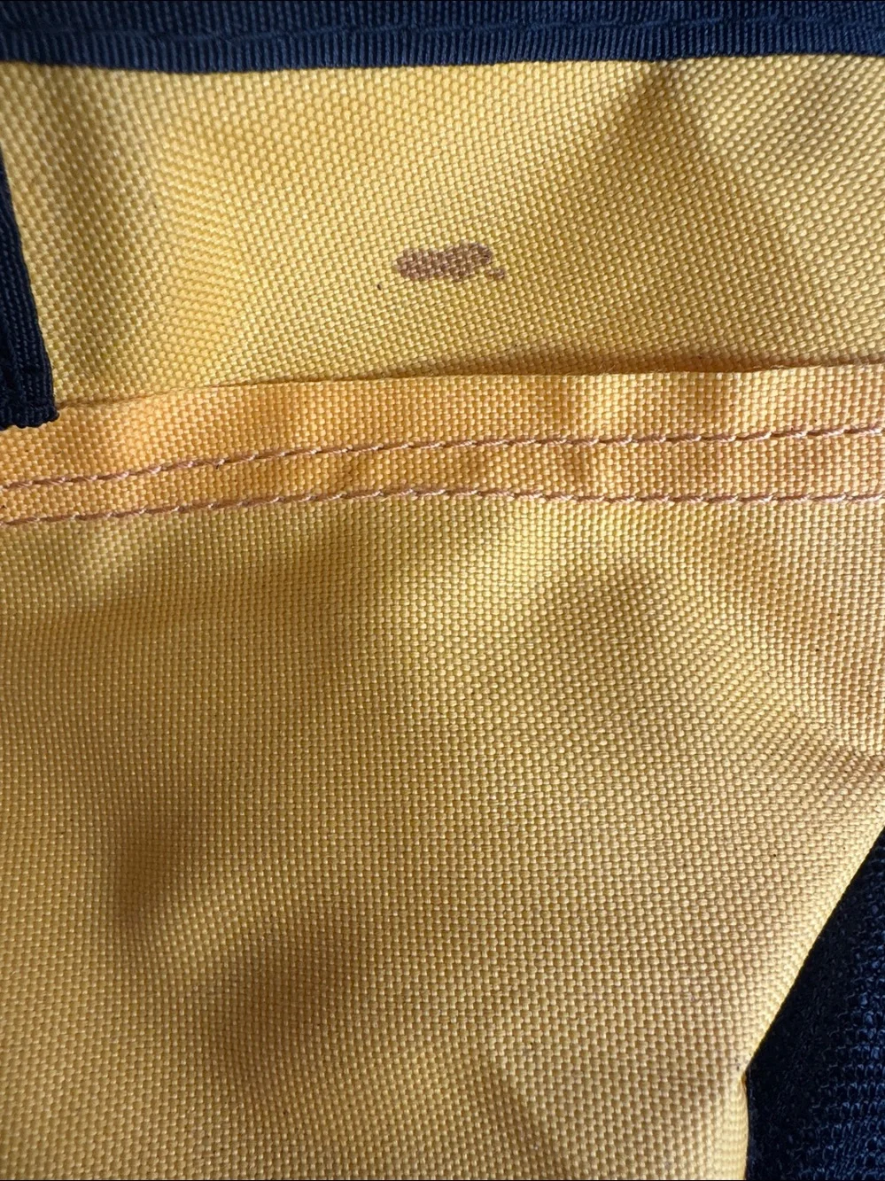 Burley ‘BEE’ nwt!